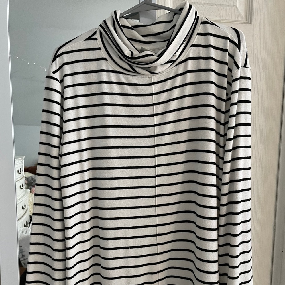Striped turtleneck